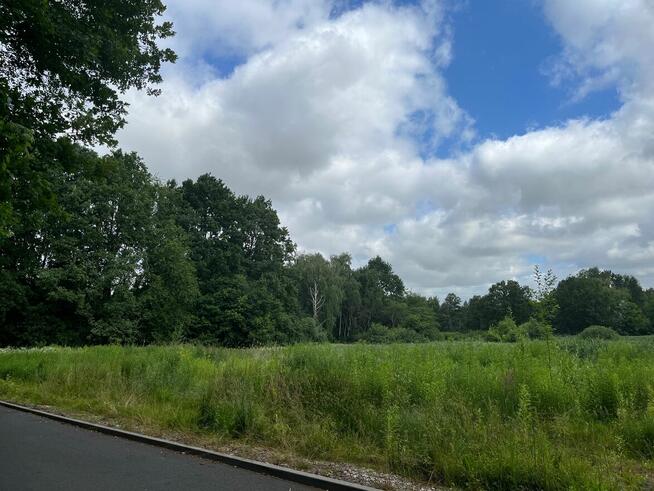 SPRZEDAM DLA DEWELOPERA PIĘKNĄ DZIALKĘ 18061M2 W PODKOWIE LE