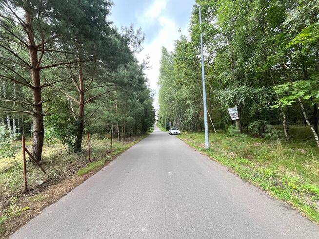 Działka leśna / las Rożno-Parcele, gm. Aleksandrów Kujawski