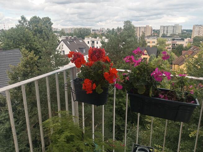 2 pokoje, balkon, Zaodrze.Winda, niski czynsz.Po remoncie.