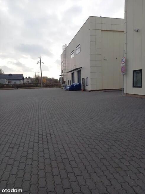 Biura, ekspozycje, magazyn w świetnej lokalizacji. Od 100 m2