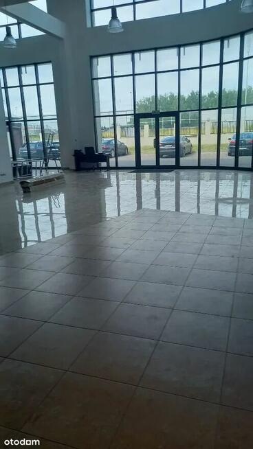Biura, ekspozycje, magazyn w świetnej lokalizacji. Od 100 m2
