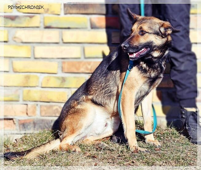Morgi - pozwól mi kochać i być kochanym