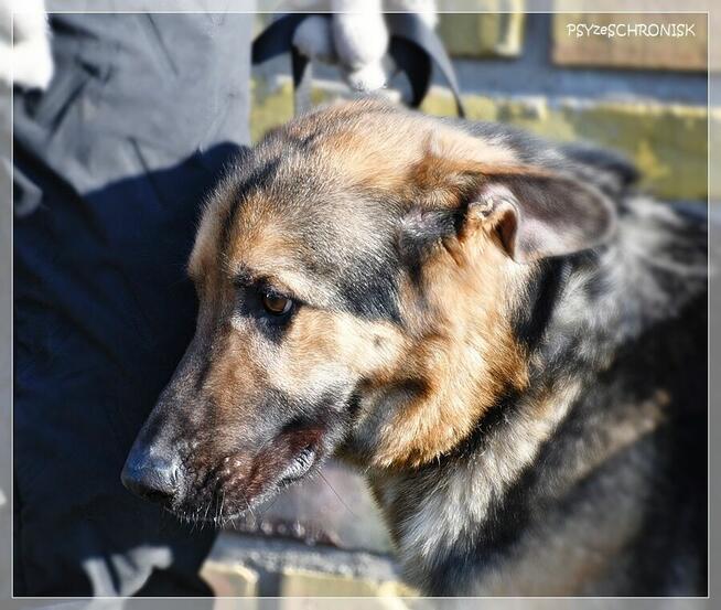 Maruś - pozwól mu na nowo cieszyć się życiem!