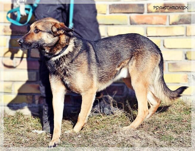 Morgi - pozwól mi kochać i być kochanym