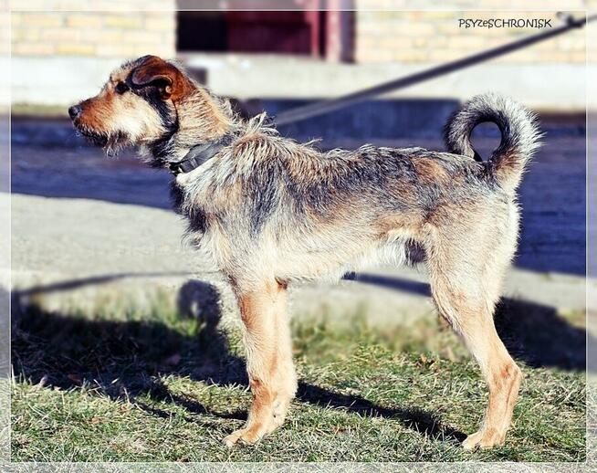 Kokos - mnóstwo energii, radości i miłości