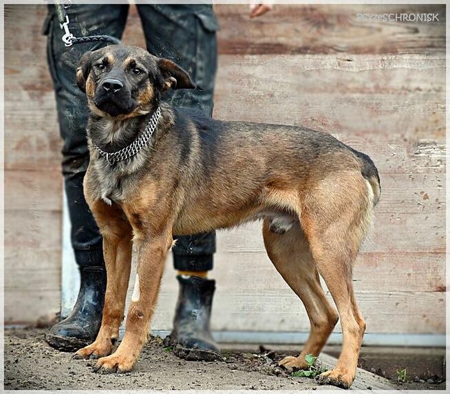 Karmel - jedyne, czego pragnie, to szczęśliwe życie z Tobą
