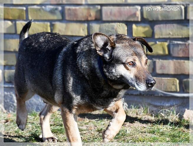 Nestor - ufa, że w końcu ktoś go naprawdę pokocha