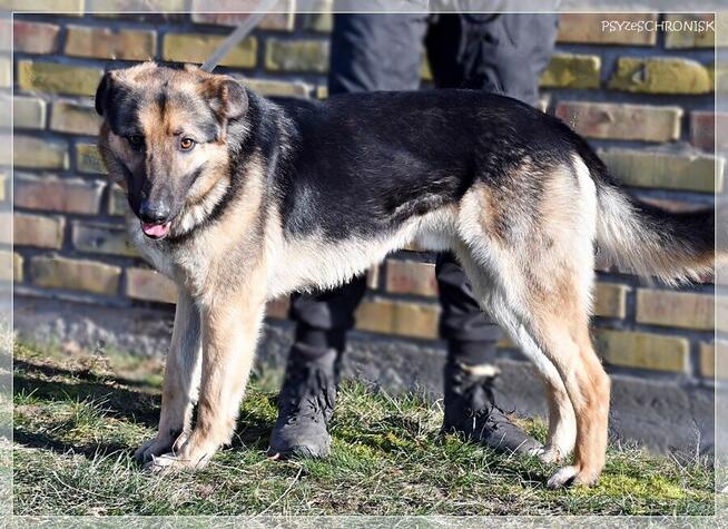 Maruś - pozwól mu na nowo cieszyć się życiem!