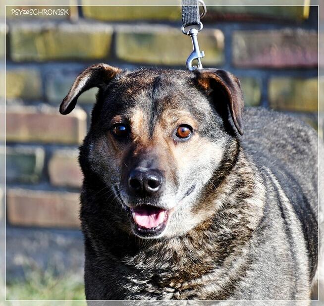 Nestor - ufa, że w końcu ktoś go naprawdę pokocha