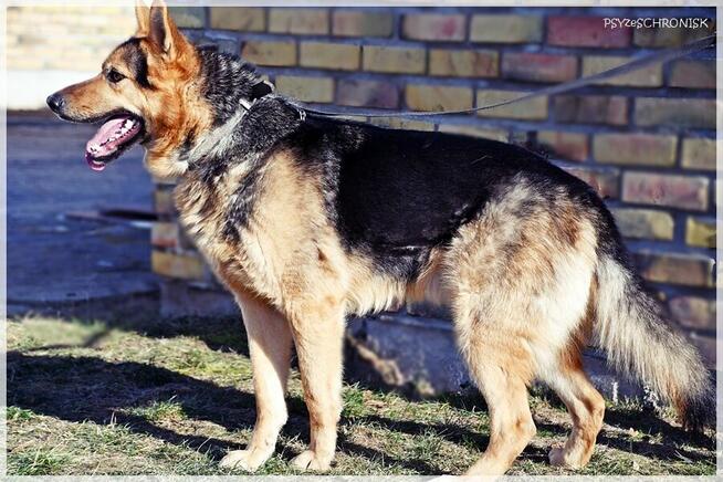 Cezar - młody przystojniak z nadzieją na lepsze życie z Tobą