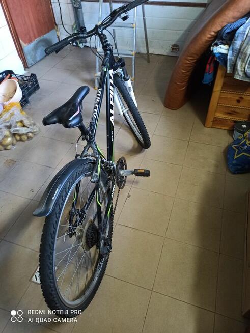 rower górski Alpina model M20 młodzieżowy