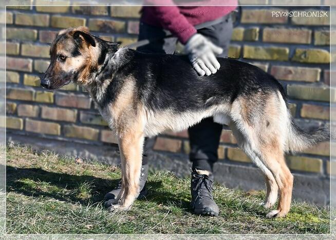 Maruś - pozwól mu na nowo cieszyć się życiem!