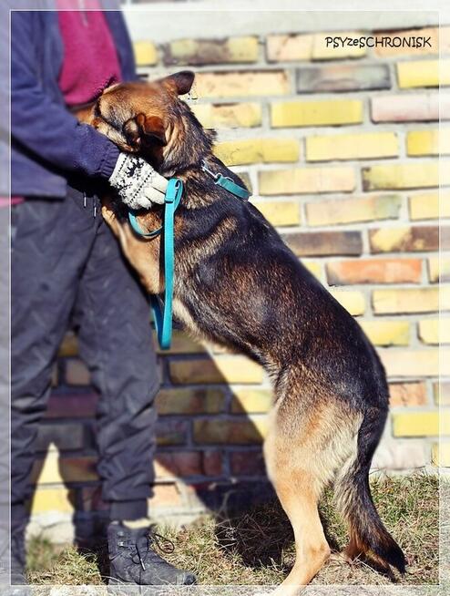 Morgi - pozwól mi kochać i być kochanym