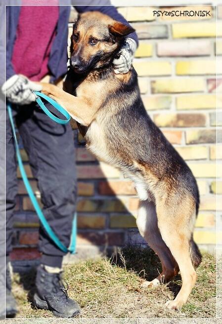 Morgi - pozwól mi kochać i być kochanym
