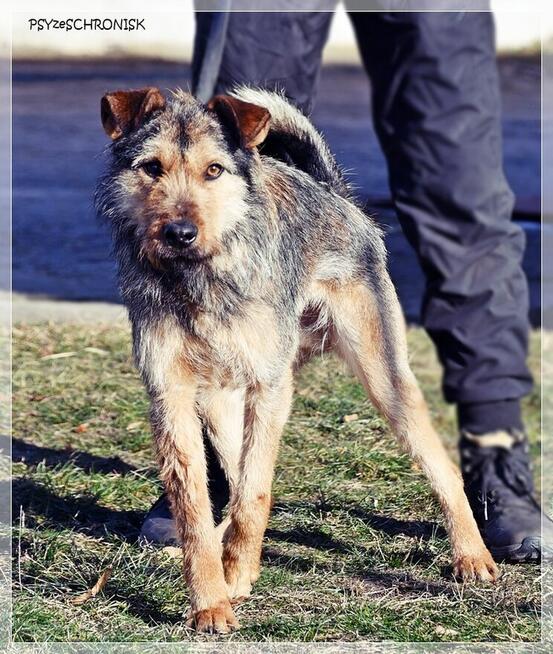 Kokos - mnóstwo energii, radości i miłości