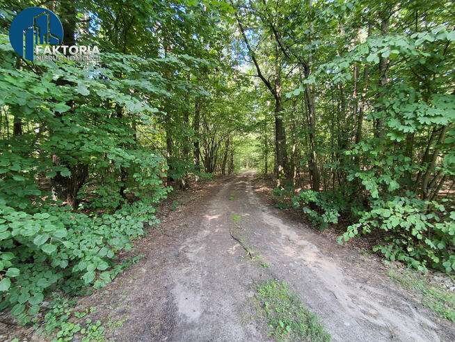 Działka siedliskowa Gajowniki gm. Choroszcz,