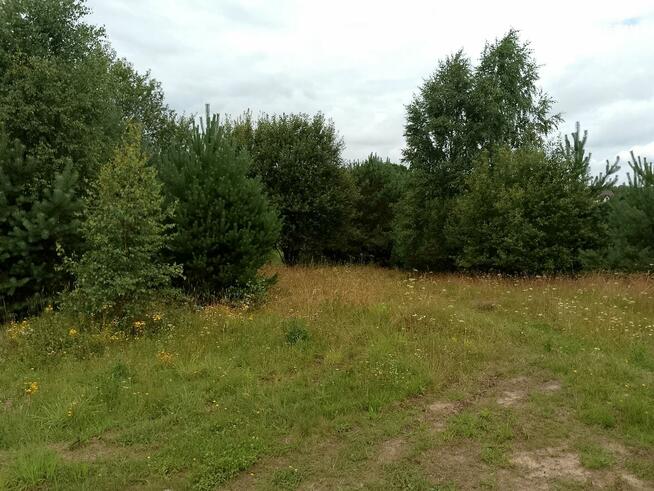 Działka budowlana Nowa Wieś Przywidzka gm. Przywidz