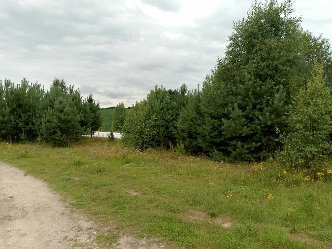 Działka budowlana Nowa Wieś Przywidzka gm. Przywidz