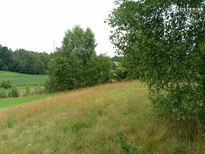 Działka budowlana Nowa Wieś Przywidzka gm. Przywidz