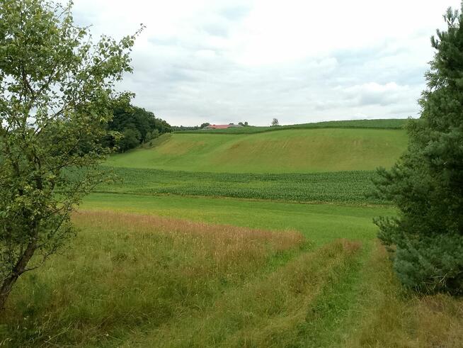 Działka budowlana Nowa Wieś Przywidzka gm. Przywidz