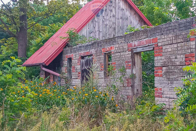Ponad 3 ha działek z MPZP Grabostów, asfalt, media