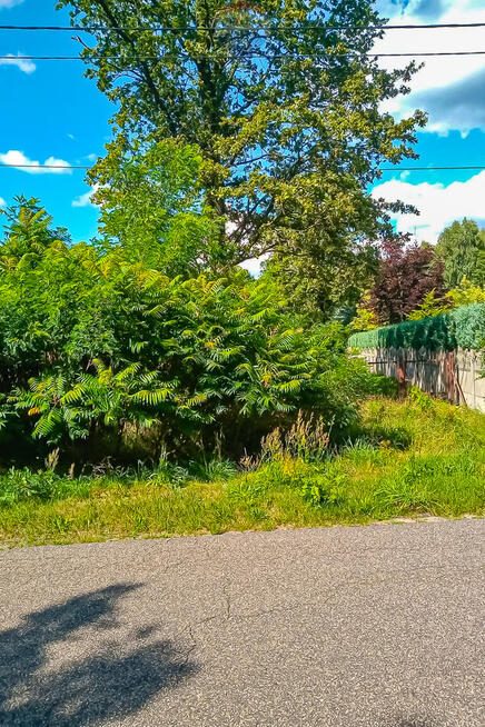 Ponad 3 ha działek z MPZP Grabostów, asfalt, media