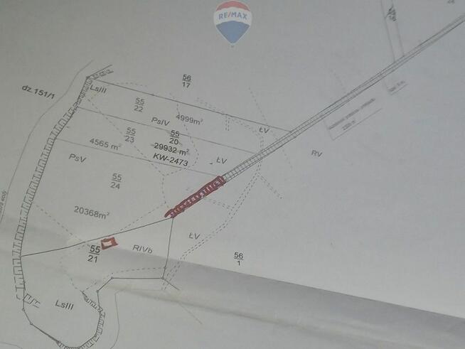 Działka z linią brzegową jeziora Zarańsko