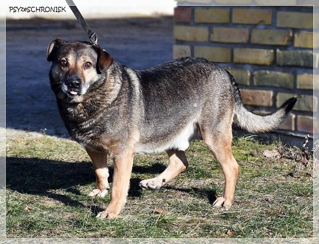 Nestor - ufa, że w końcu ktoś go naprawdę pokocha