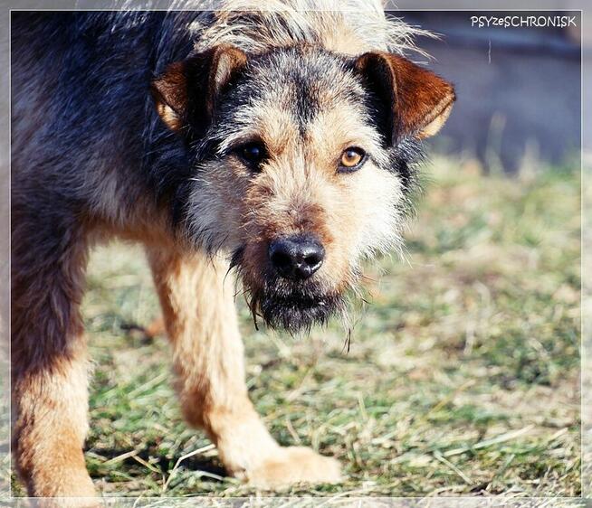 Kokos - mnóstwo energii, radości i miłości