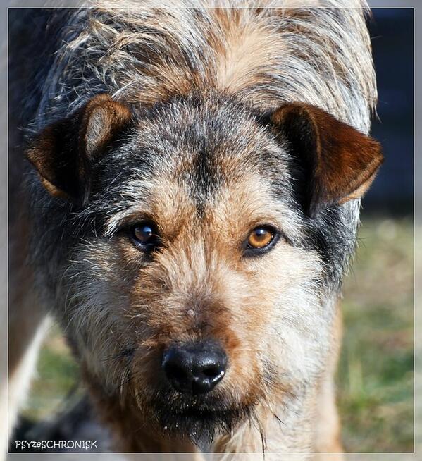 Kokos - mnóstwo energii, radości i miłości