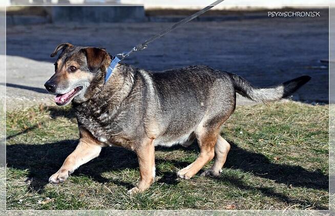 Nestor - ufa, że w końcu ktoś go naprawdę pokocha
