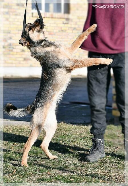 Kokos - mnóstwo energii, radości i miłości