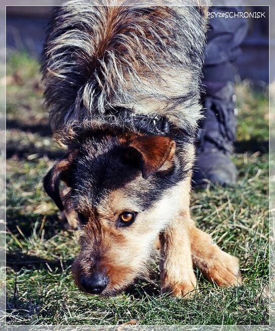 Kokos - mnóstwo energii, radości i miłości