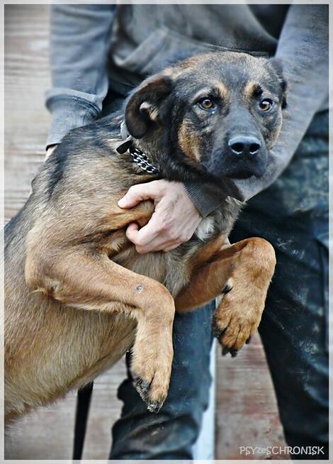 Karmel - jedyne, czego pragnie, to szczęśliwe życie z Tobą