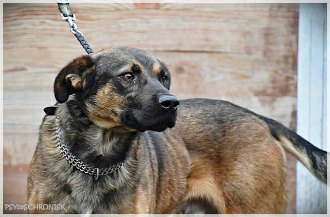 Karmel - jedyne, czego pragnie, to szczęśliwe życie z Tobą