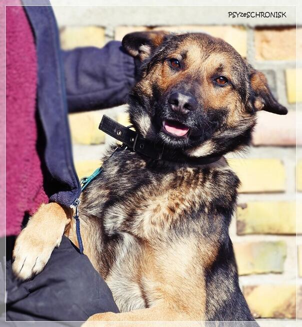 Morgi - pozwól mi kochać i być kochanym