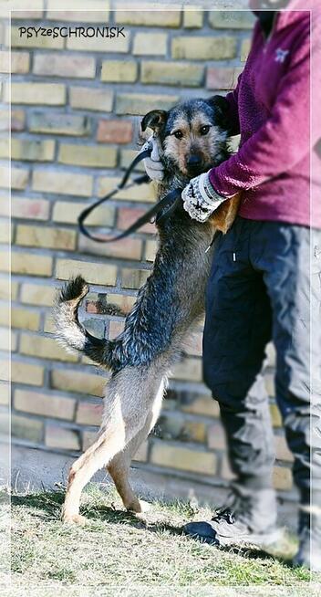 Kokos - mnóstwo energii, radości i miłości