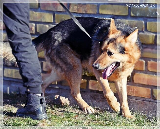 Cezar - młody przystojniak z nadzieją na lepsze życie z Tobą