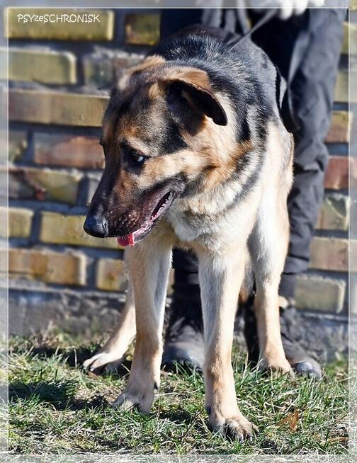 Maruś - pozwól mu na nowo cieszyć się życiem!