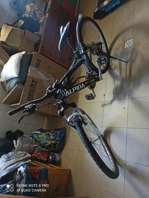 rower górski Alpina model M20 młodzieżowy