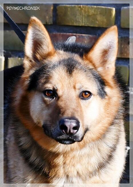 Cezar - młody przystojniak z nadzieją na lepsze życie z Tobą