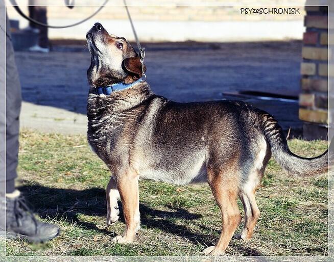 Nestor - ufa, że w końcu ktoś go naprawdę pokocha