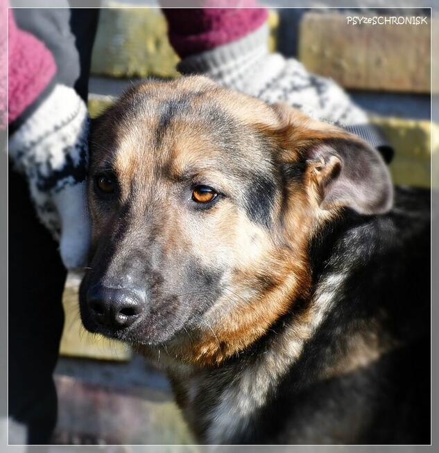 Maruś - pozwól mu na nowo cieszyć się życiem!