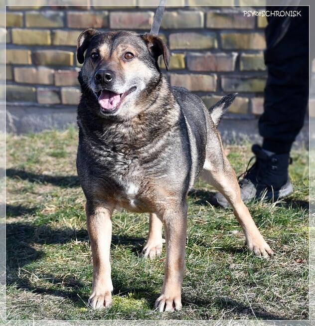 Nestor - ufa, że w końcu ktoś go naprawdę pokocha
