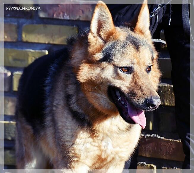 Cezar - młody przystojniak z nadzieją na lepsze życie z Tobą