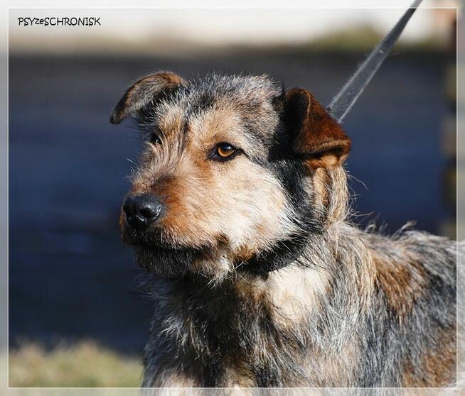 Kokos - mnóstwo energii, radości i miłości