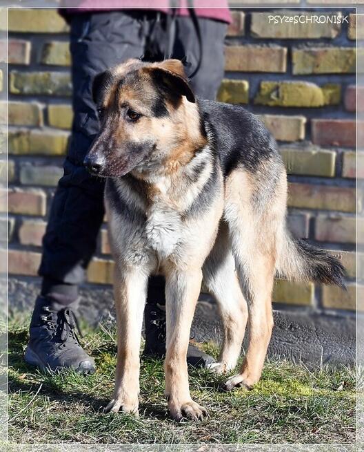 Maruś - pozwól mu na nowo cieszyć się życiem!