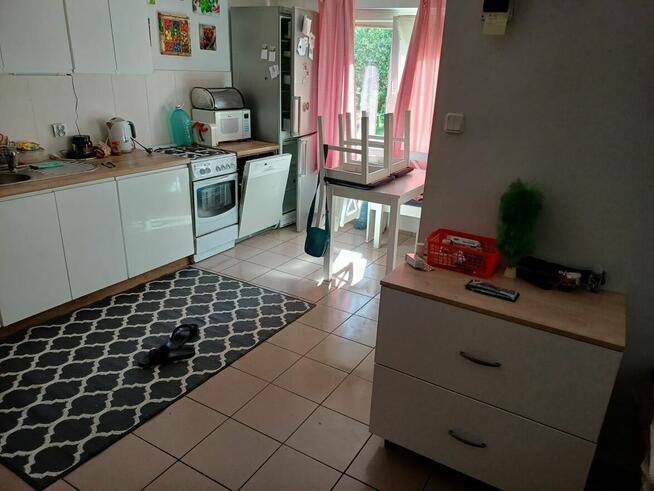 Działka ROD Poznań Krzesiny