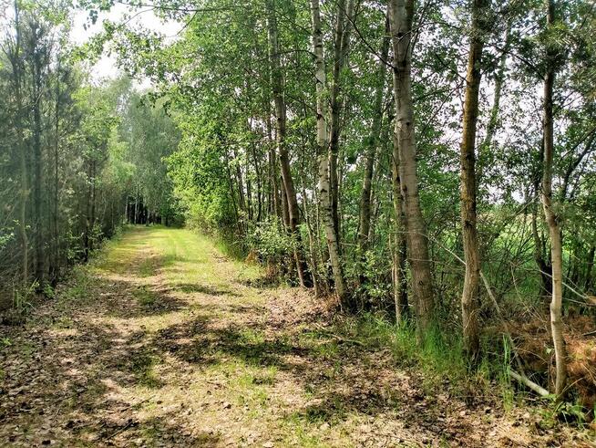 Atrakcyjna działka 33,337 m2