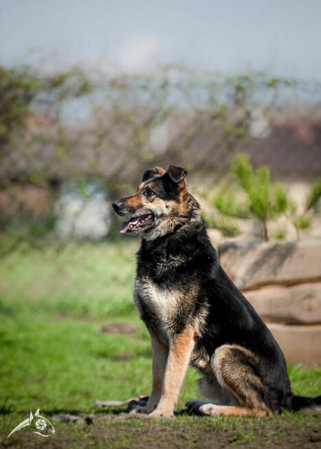 Pogodny Leo zasiedział się w Fundacji :)